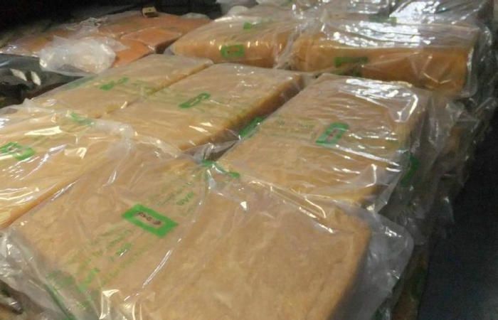國豐橡塑為您奉上有價值的TPE材料，TPR材料資訊